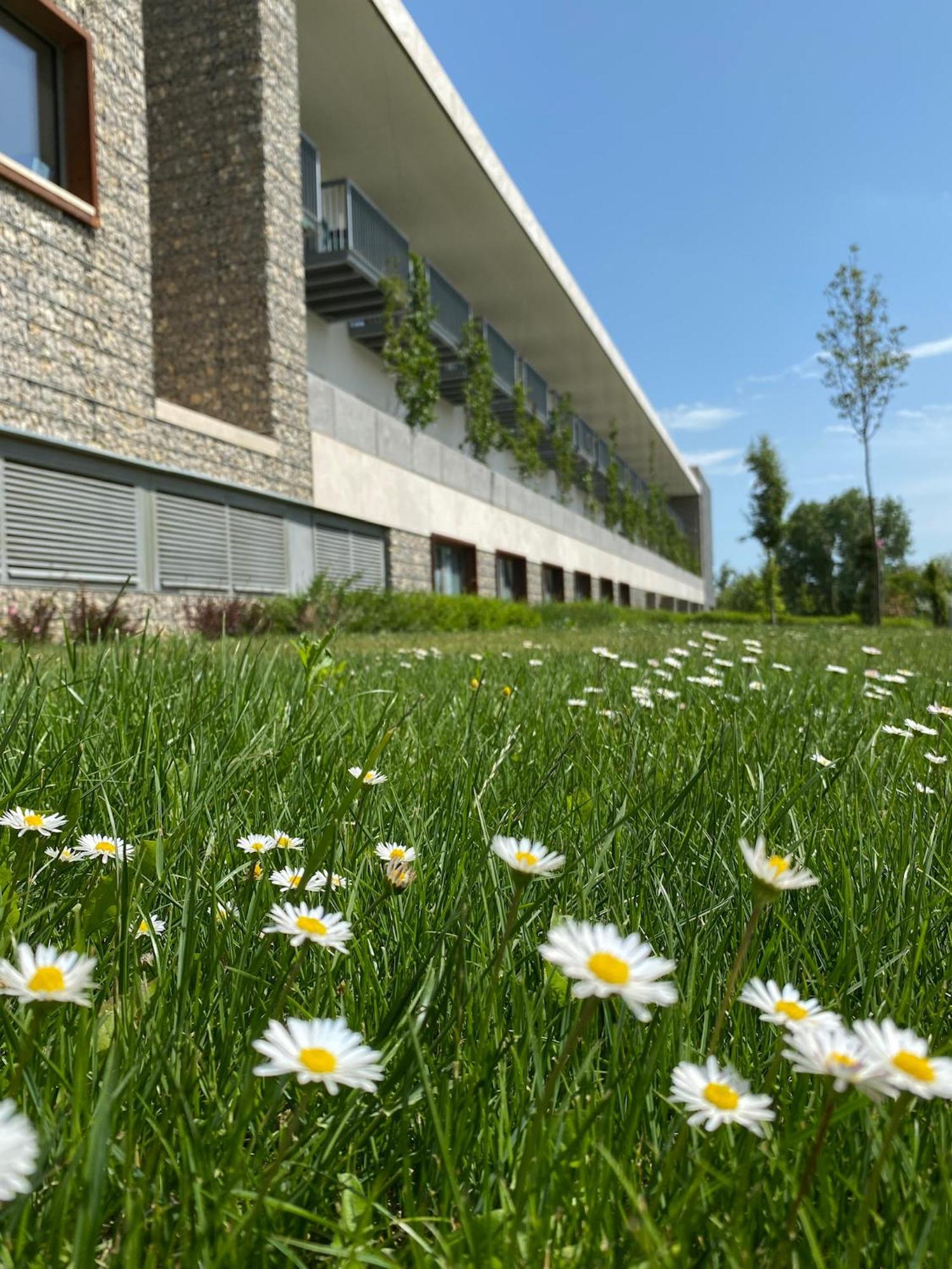 Akadémia Hotel Balatonfüred Exterior foto